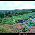 澎湖候鳥民宿_065.jpg