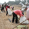 20101013-烈嶼秋季淨灘軍民總動員