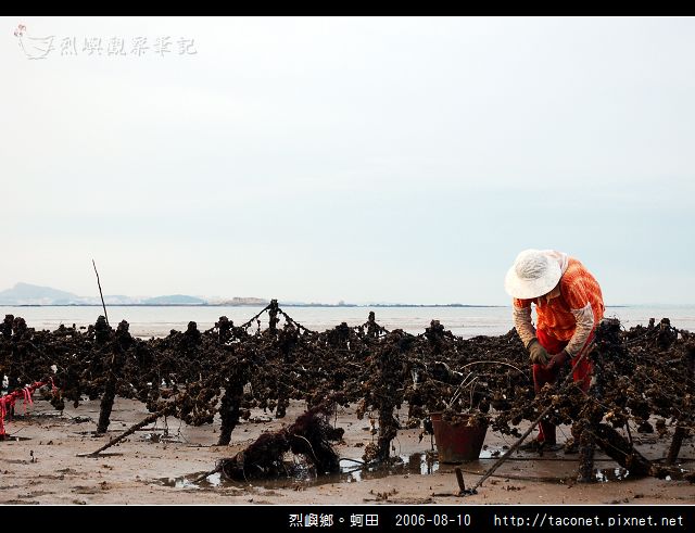 烈嶼鄉。蚵田_09.jpg