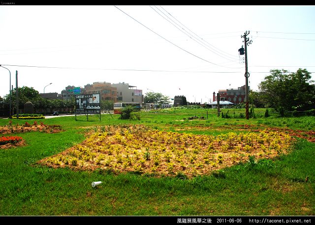 風雞展風華_03.jpg 風雞展風華_03.jpg