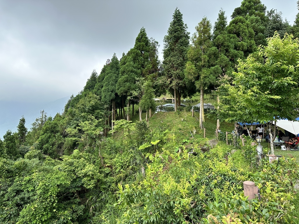 IMG_3029.jpg IMG_3029.jpg