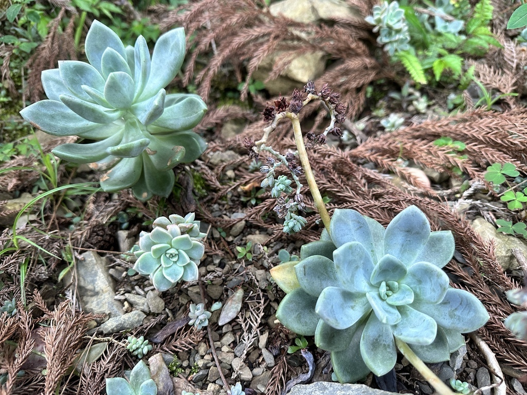 IMG_3051.jpg IMG_3051.jpg