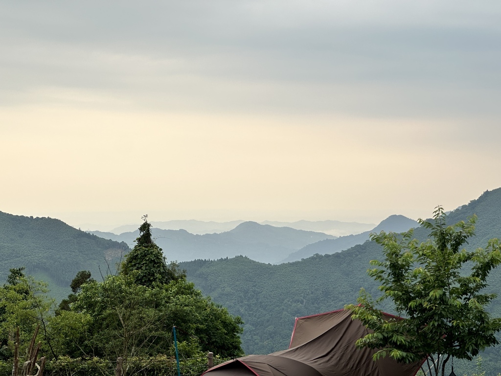 IMG_3102.jpg IMG_3102.jpg