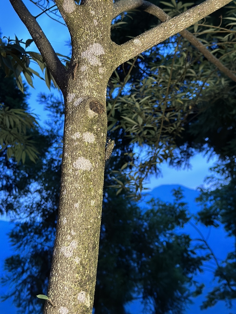 IMG_3104.jpg IMG_3104.jpg