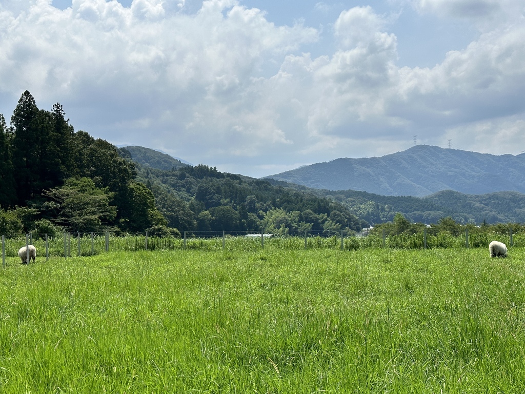 2023/08/17-28<京阪奈自由行>Day5:自駕旅遊