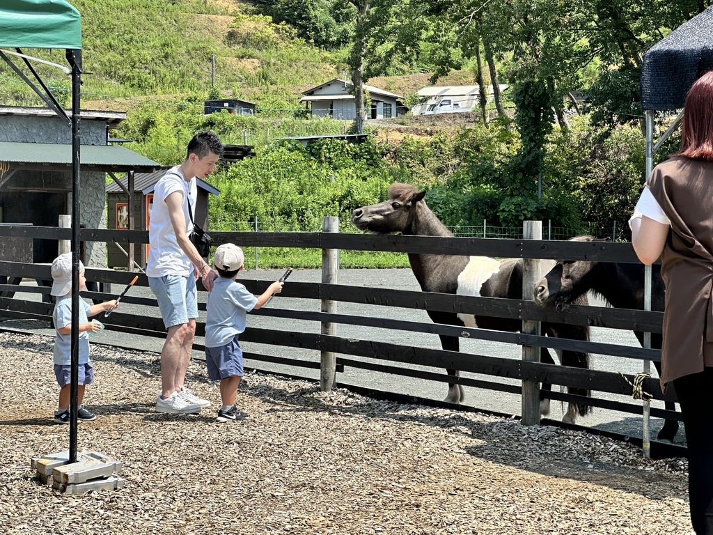 2023/08/17-28<京阪奈自由行>Day5:自駕旅遊