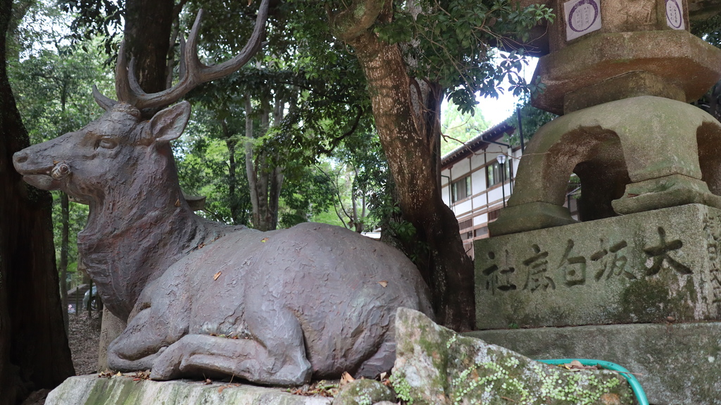 2023/08/17-28<京阪奈自由行>Day6:奈良，與