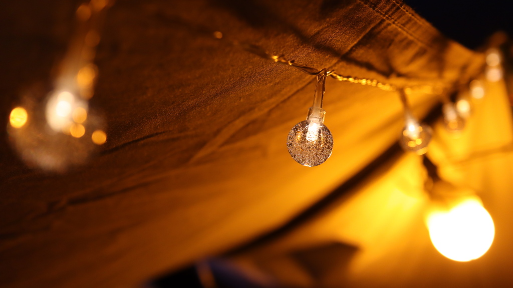 2023/11/28<親子露營第66露>新北市-金山皇后鎮森 2023/11/28<親子露營第66露>新北市-金山皇后鎮森