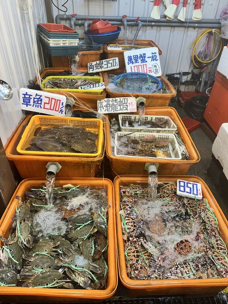 2023/11/28<親子露營第66露>新北市-金山皇后鎮森 2023/11/28<親子露營第66露>新北市-金山皇后鎮森