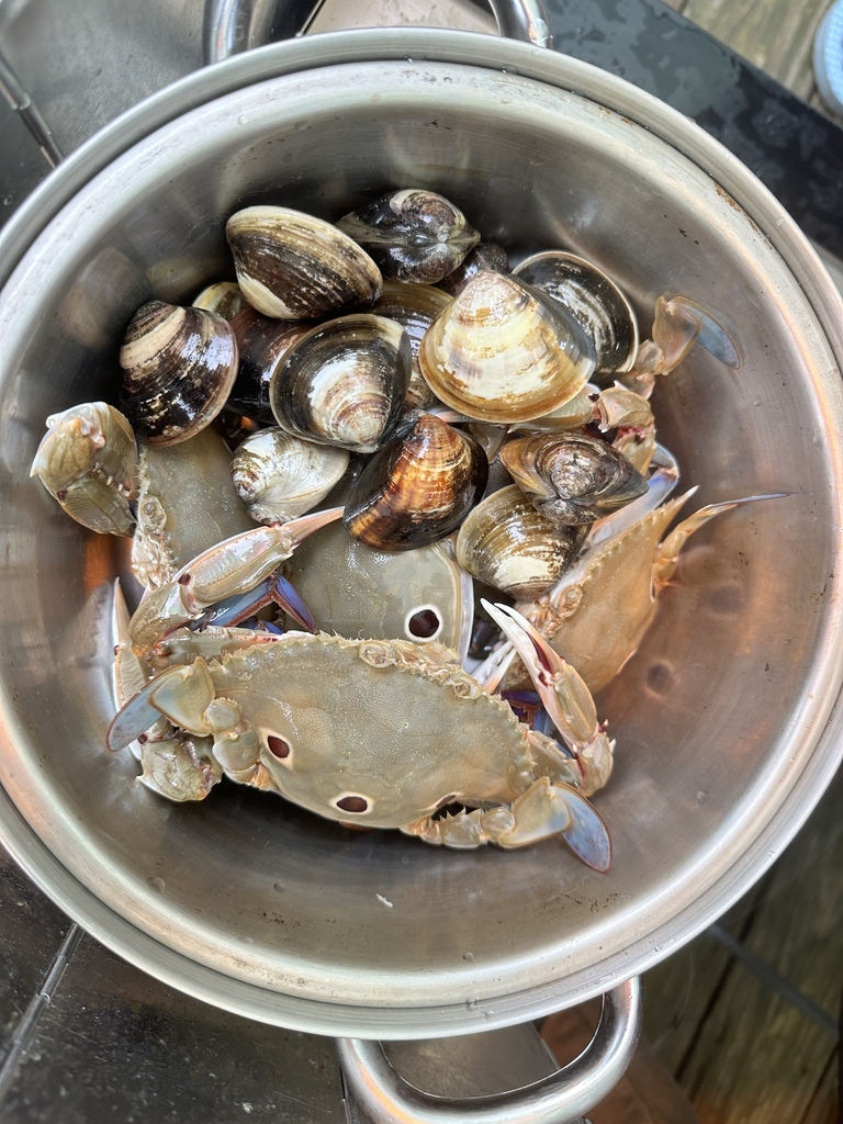 2023/11/28<親子露營第66露>新北市-金山皇后鎮森 2023/11/28<親子露營第66露>新北市-金山皇后鎮森