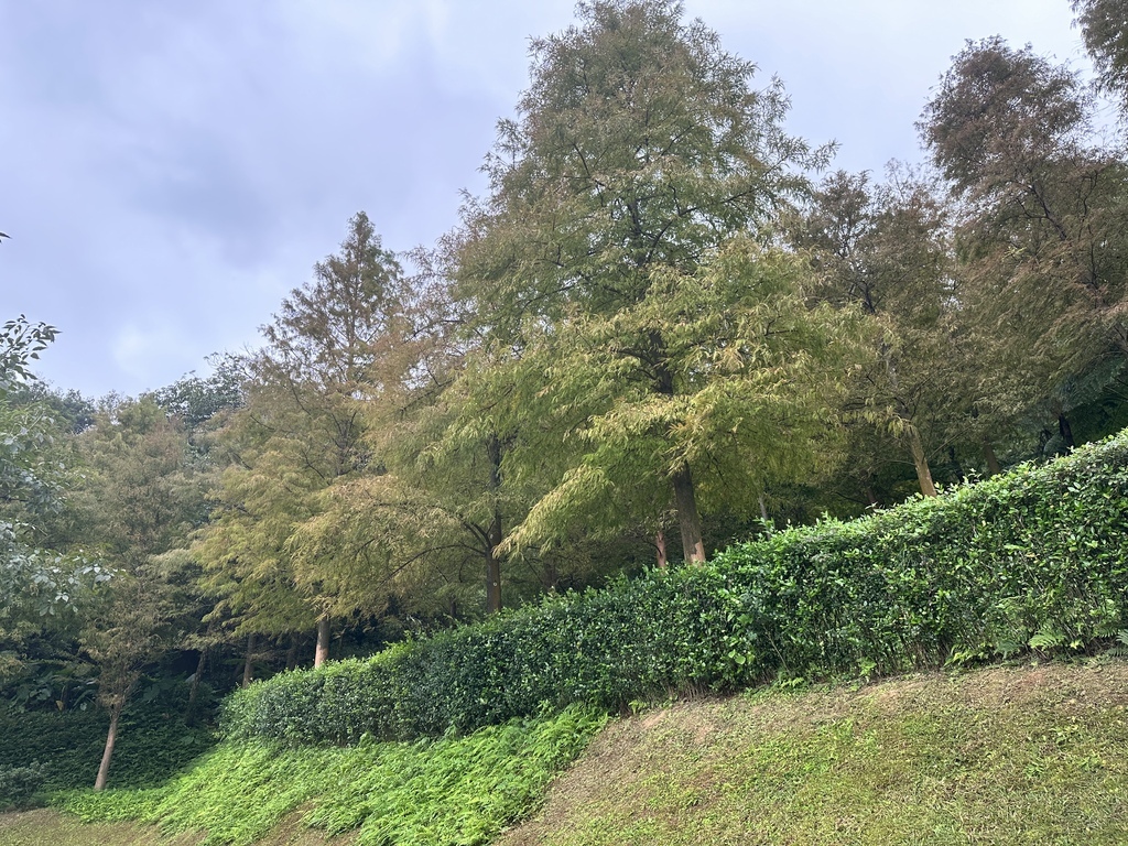 2023/11/28<親子露營第66露>新北市-金山皇后鎮森 2023/11/28<親子露營第66露>新北市-金山皇后鎮森