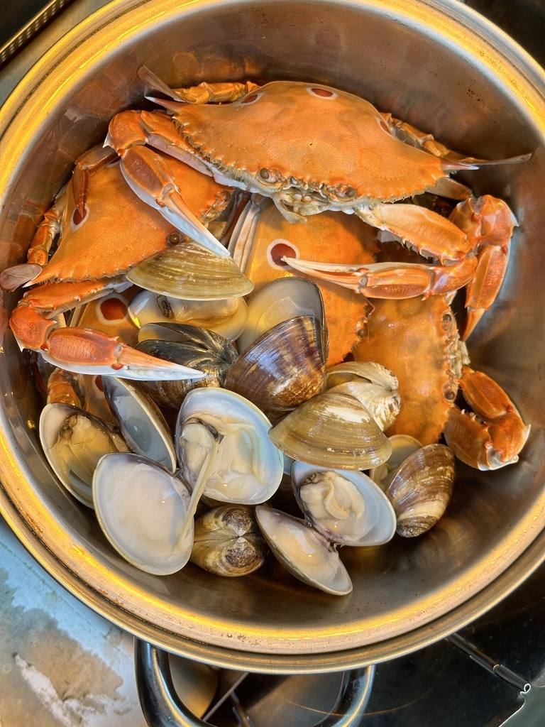 2023/11/28<親子露營第66露>新北市-金山皇后鎮森 2023/11/28<親子露營第66露>新北市-金山皇后鎮森