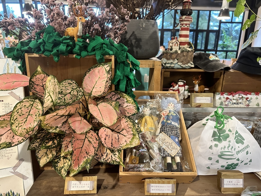 2023/11/28<親子露營第66露>新北市-金山皇后鎮森 2023/11/28<親子露營第66露>新北市-金山皇后鎮森