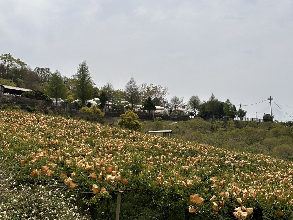 2024/03/30<親子露營第68露>苗栗Camp Sor