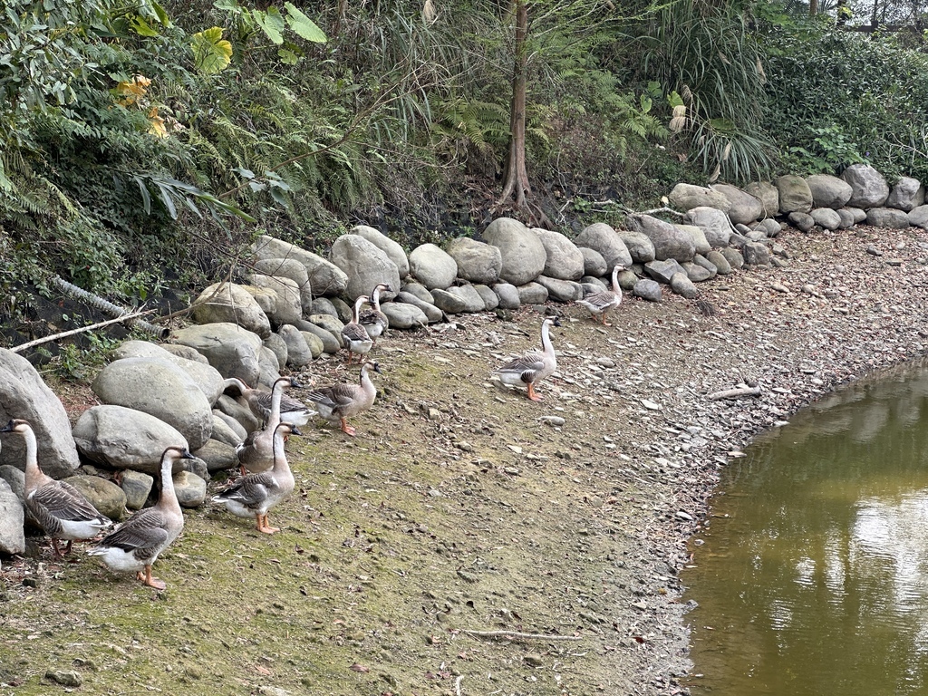 2024/03/30<親子露營第68露>苗栗Camp Sor