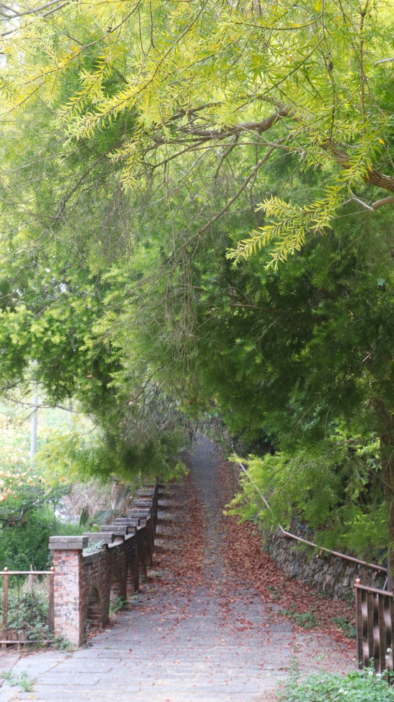 2024/03/30<親子露營第68露>苗栗Camp Sor