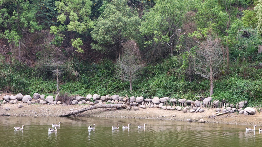 2024/03/30<親子露營第68露>苗栗Camp Sor