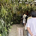 IMG_1922.jpg