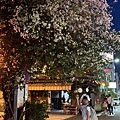 IMG_1939.jpg