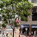 IMG_3417.jpg