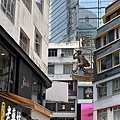 IMG_3419.jpg
