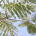 IMG_7673.jpg