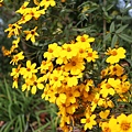 IMG_7666.jpg