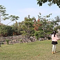 IMG_7667.jpg