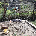 IMG_7680.jpg