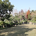 IMG_7696.jpg