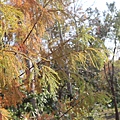 IMG_7697.jpg