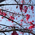IMG_7707.jpg