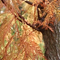 IMG_7704.jpg