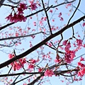 IMG_7708.jpg
