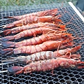 IMG_7718.jpg