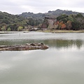 IMG_7753.jpg