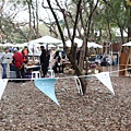 IMG_7757.jpg