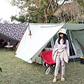 IMG_7774.jpg