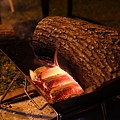 IMG_7783.jpg