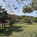 IMG_8780.jpg