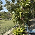 IMG_8782.jpg
