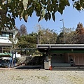 IMG_8784.jpg