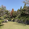 IMG_8795.jpg