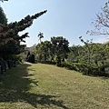 IMG_8796.jpg