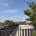 IMG_8797.jpg