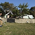IMG_8817.jpg