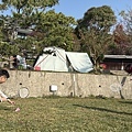IMG_8824.jpg