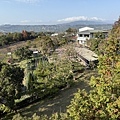 IMG_8844.jpg