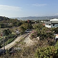 IMG_8846.jpg