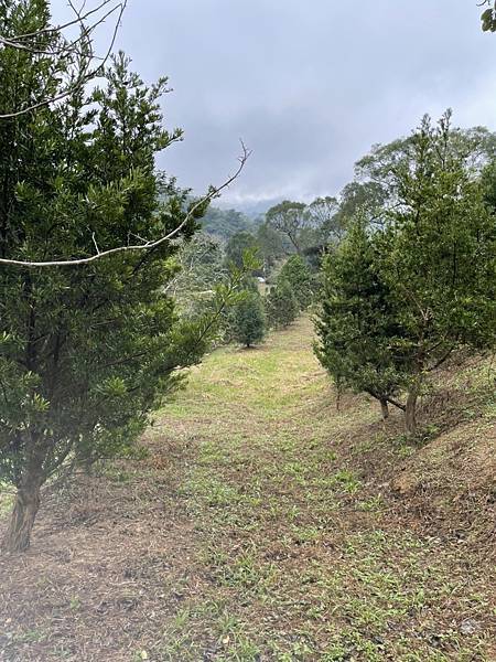 2024年5/2,5/26-還原真相業力消解法兩日課程—招生